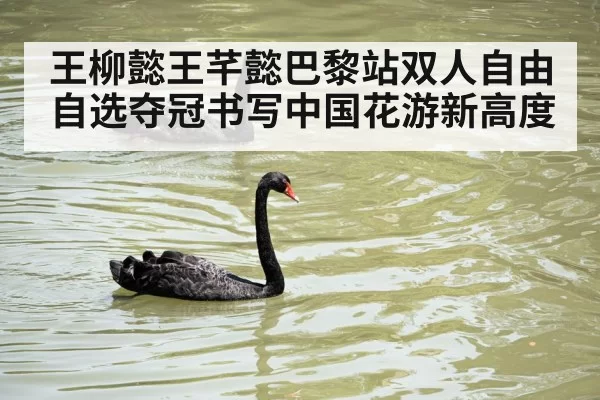 王柳懿王芊懿巴黎站双人自由自选夺冠书写中国花游新高度